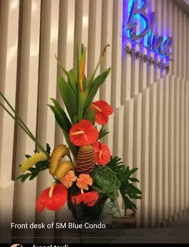 Eagle's Nest - Furnished 1br W/ Wifi Apartment